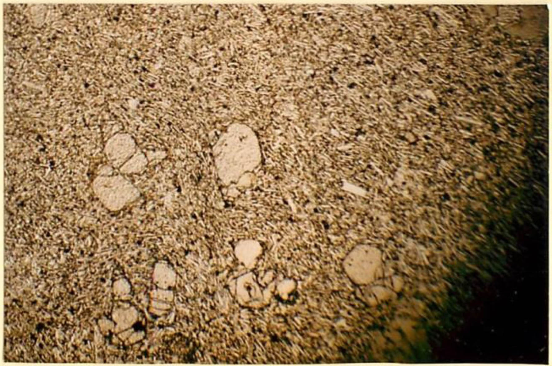 thin section image 2