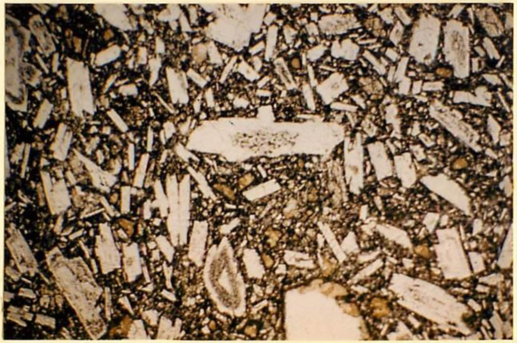 thin section image 2