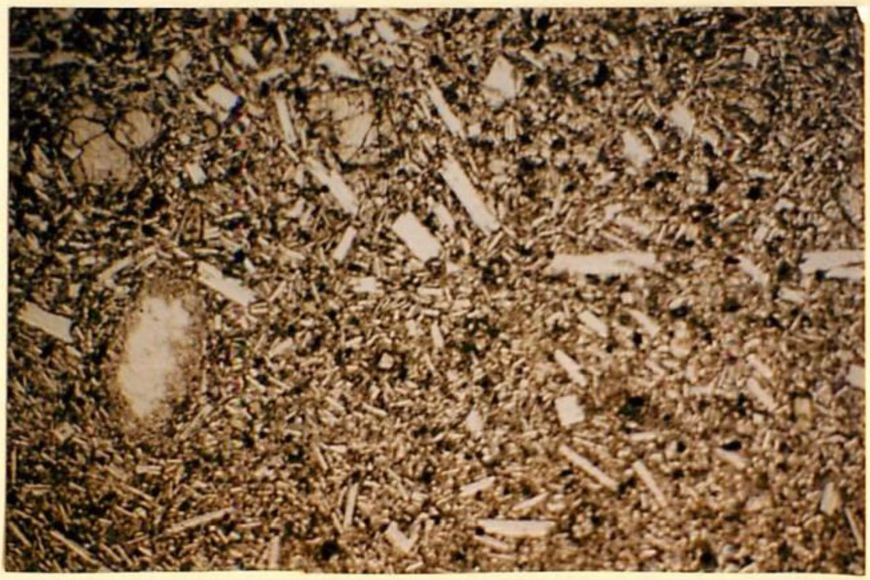 thin section image 2