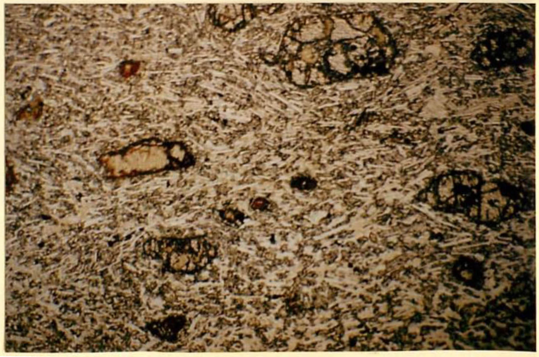 thin section image 2