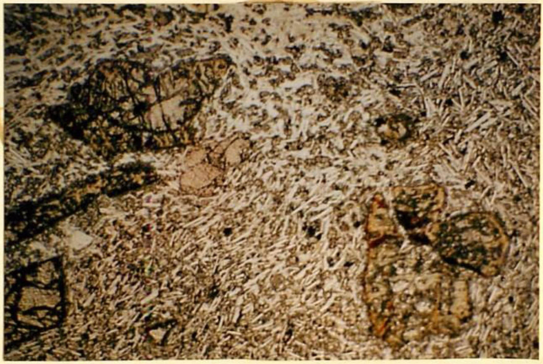 thin section image 2