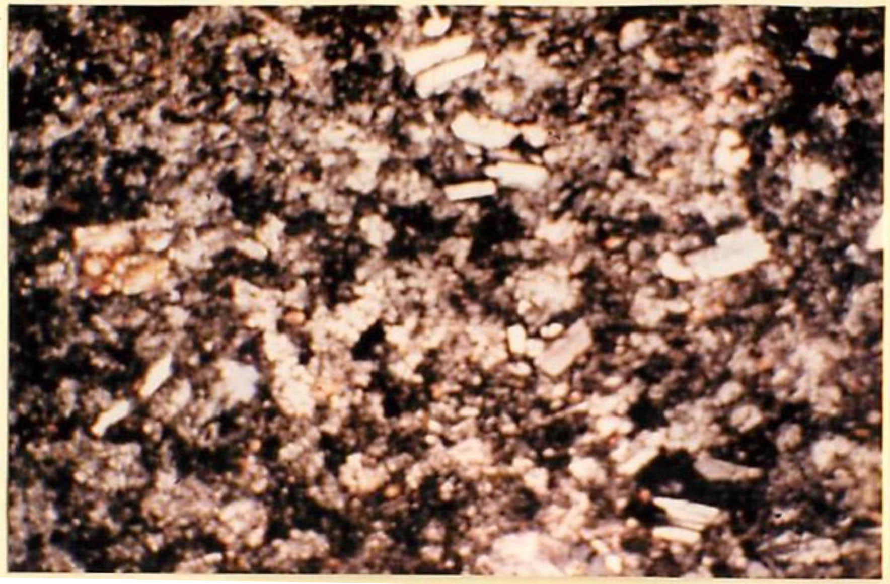 thin section image 1