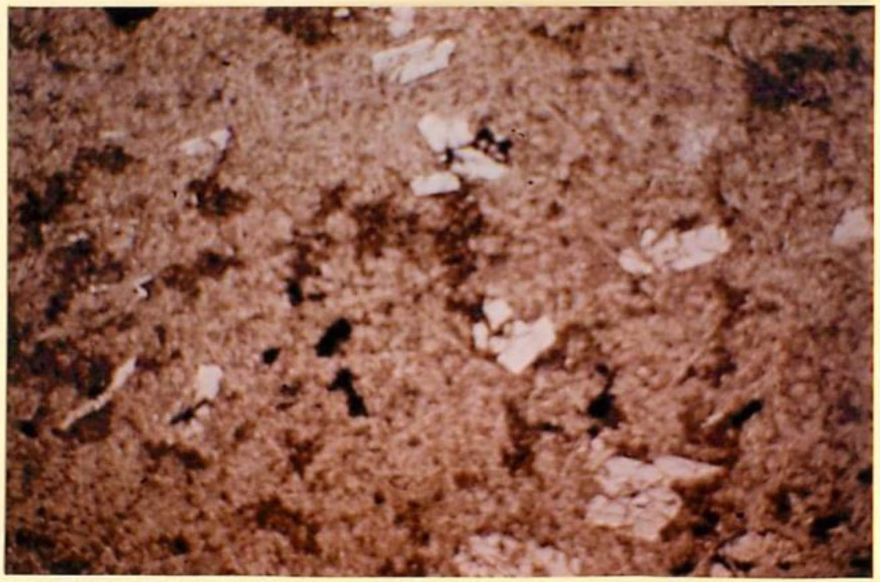 thin section image 2