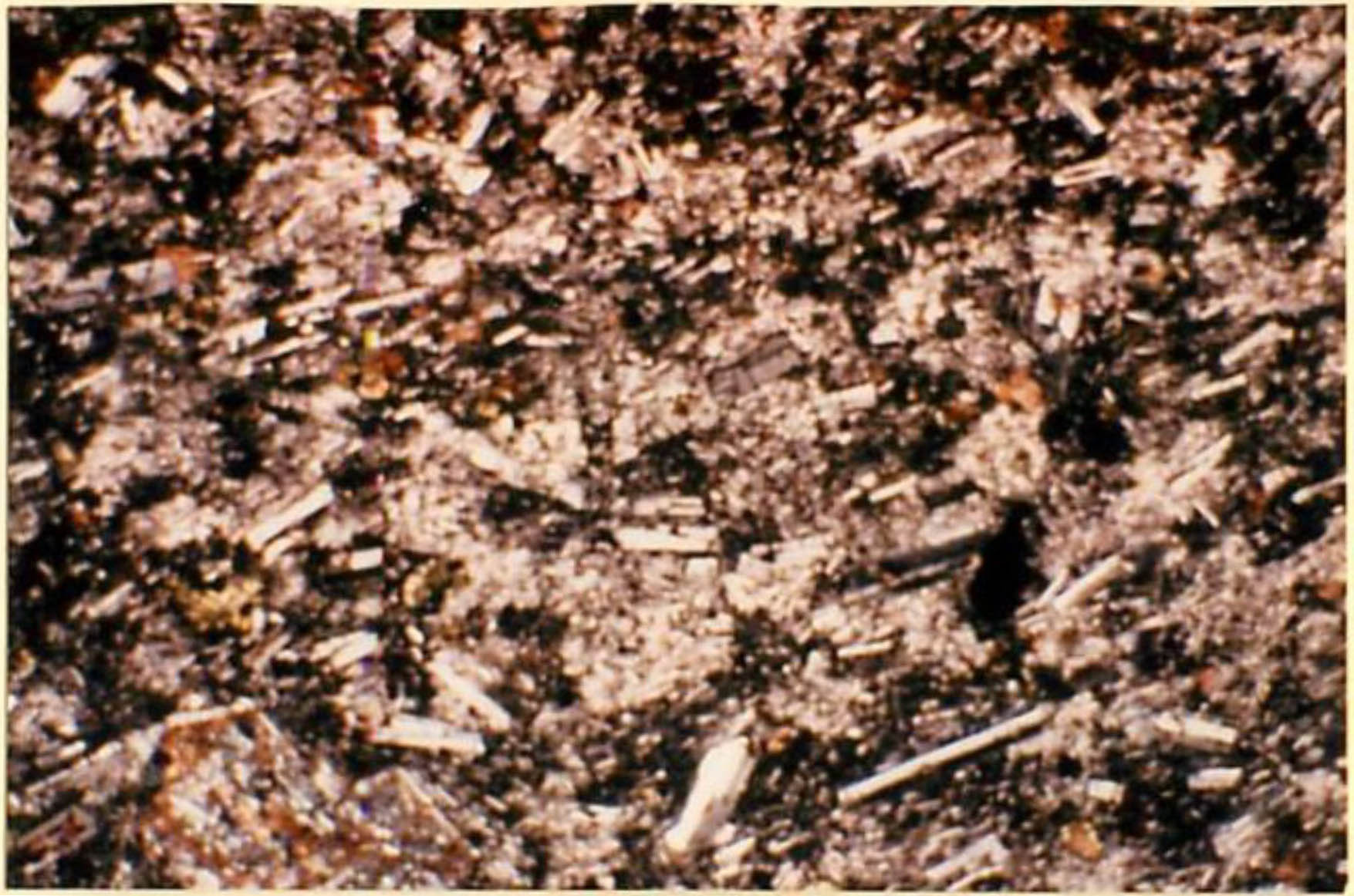 thin section image 1