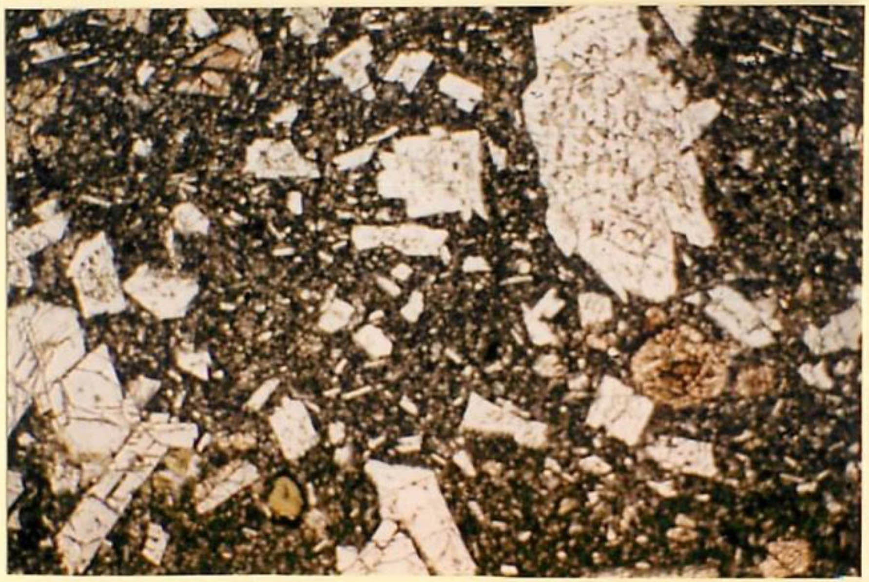 thin section image 2