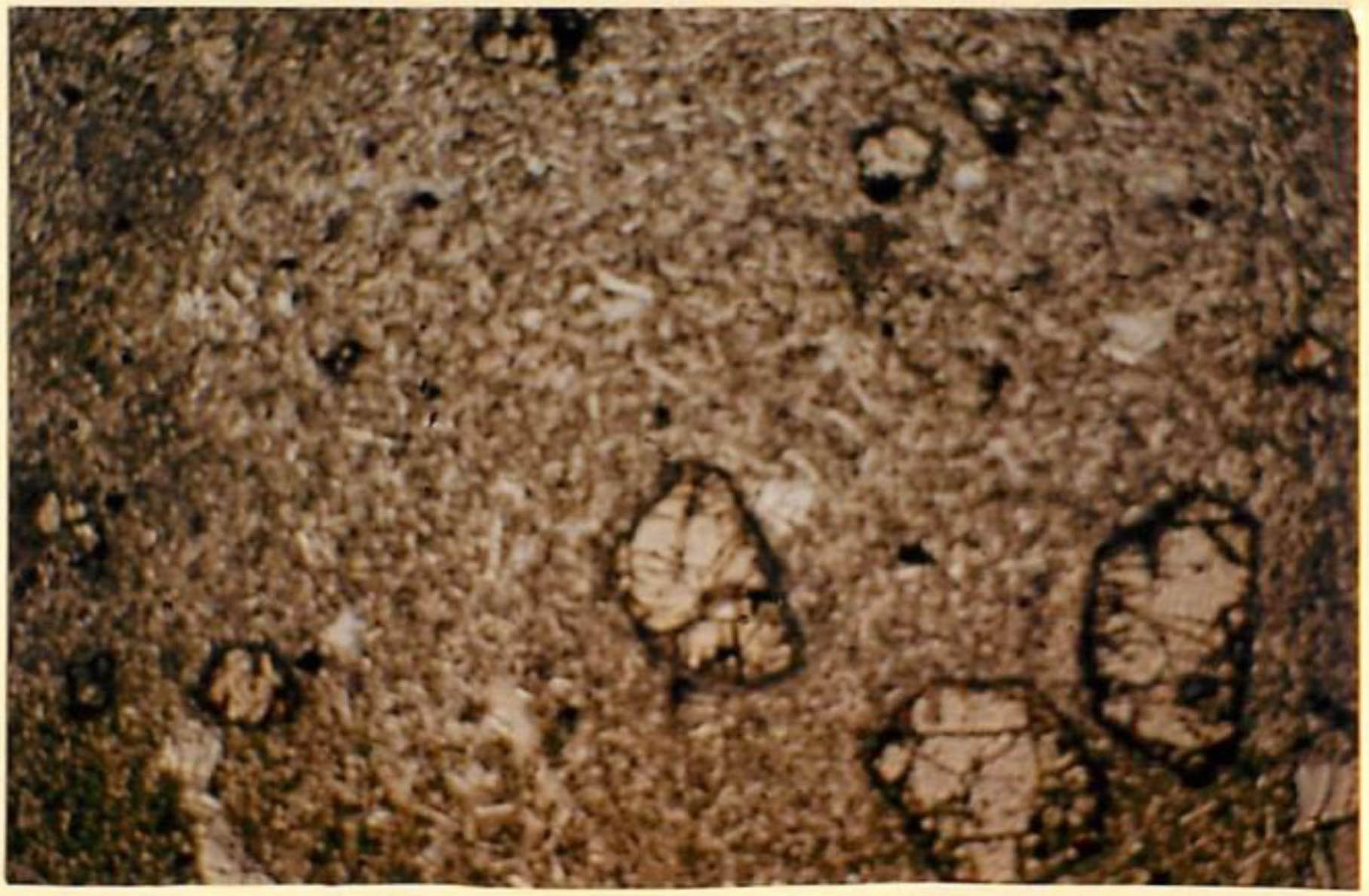 thin section image 2