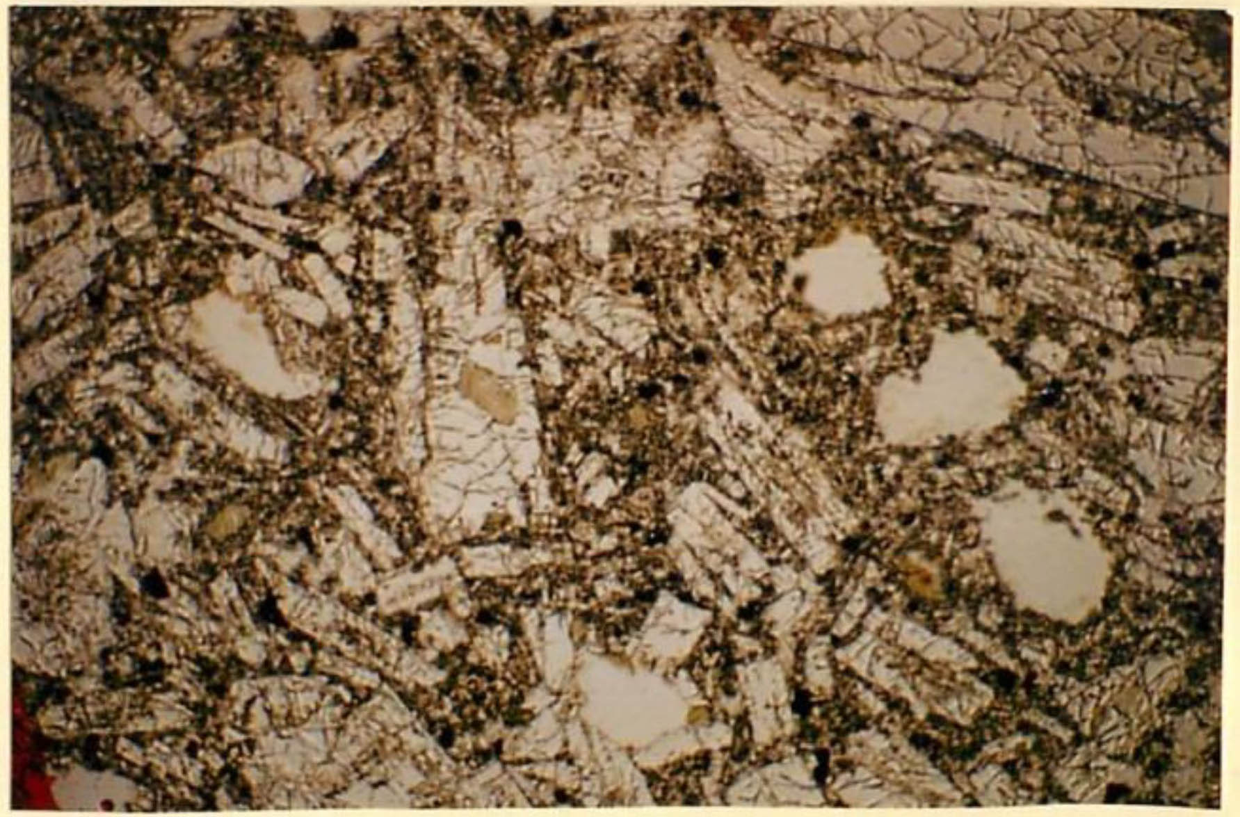 thin section image 2