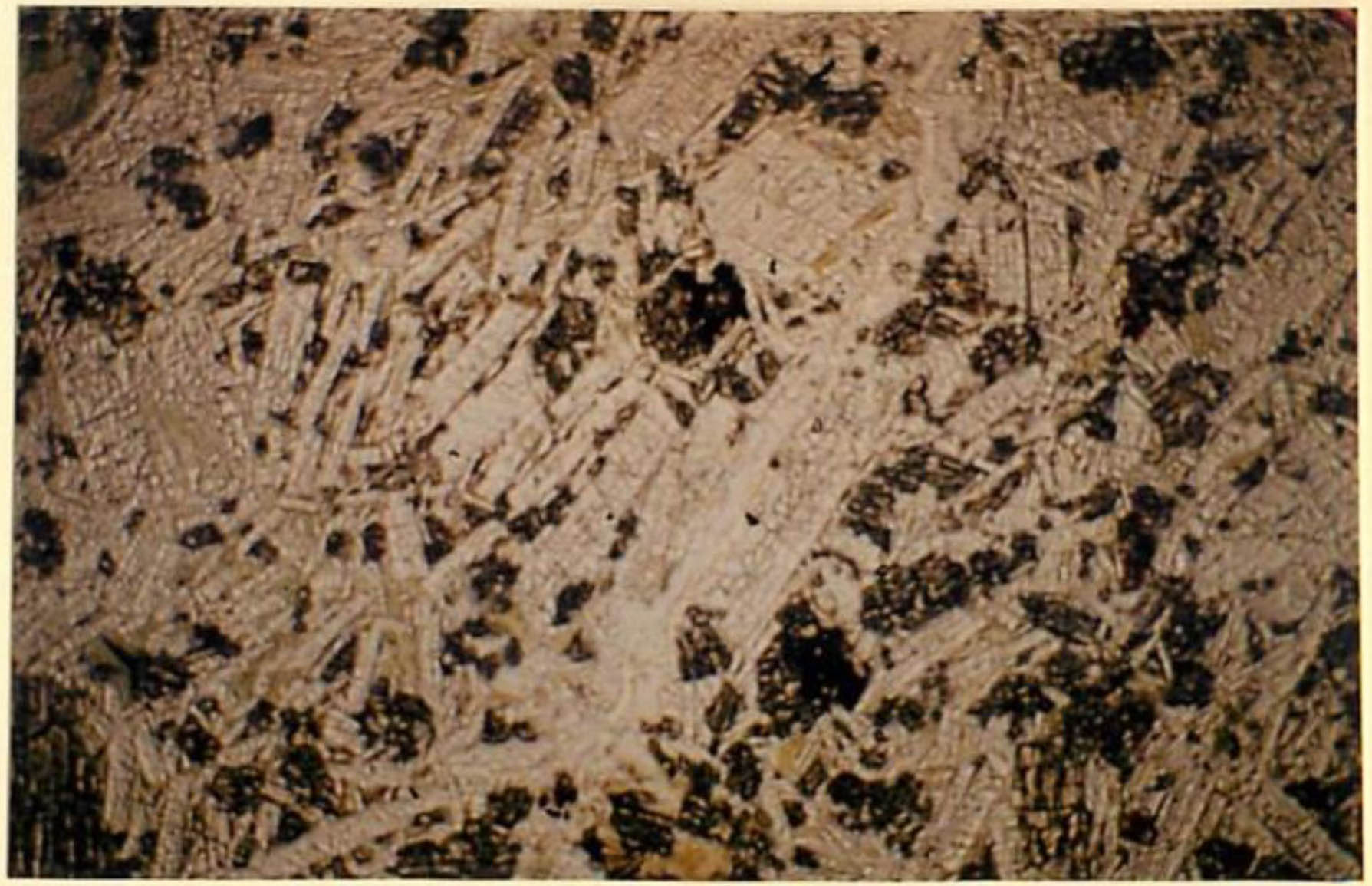 thin section image 2