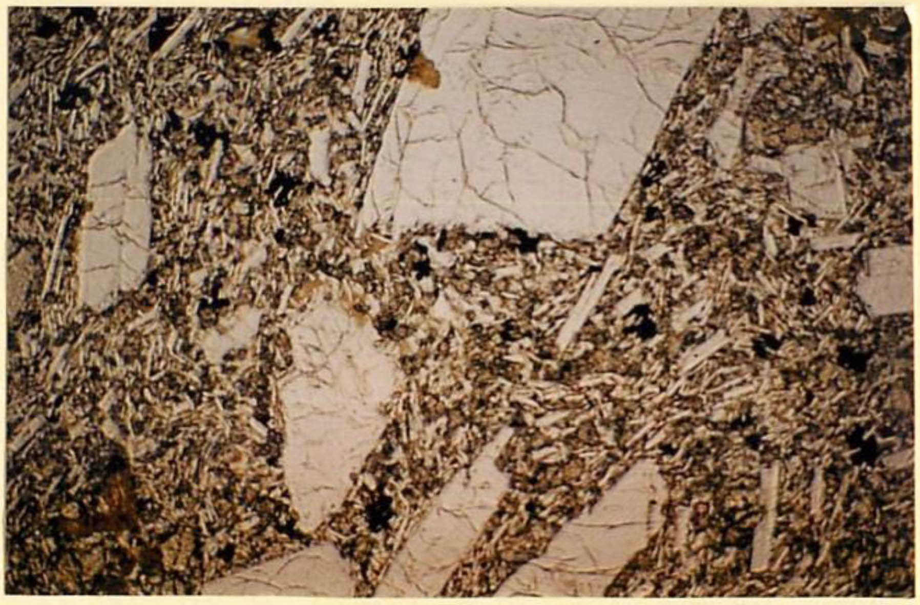 thin section image 2