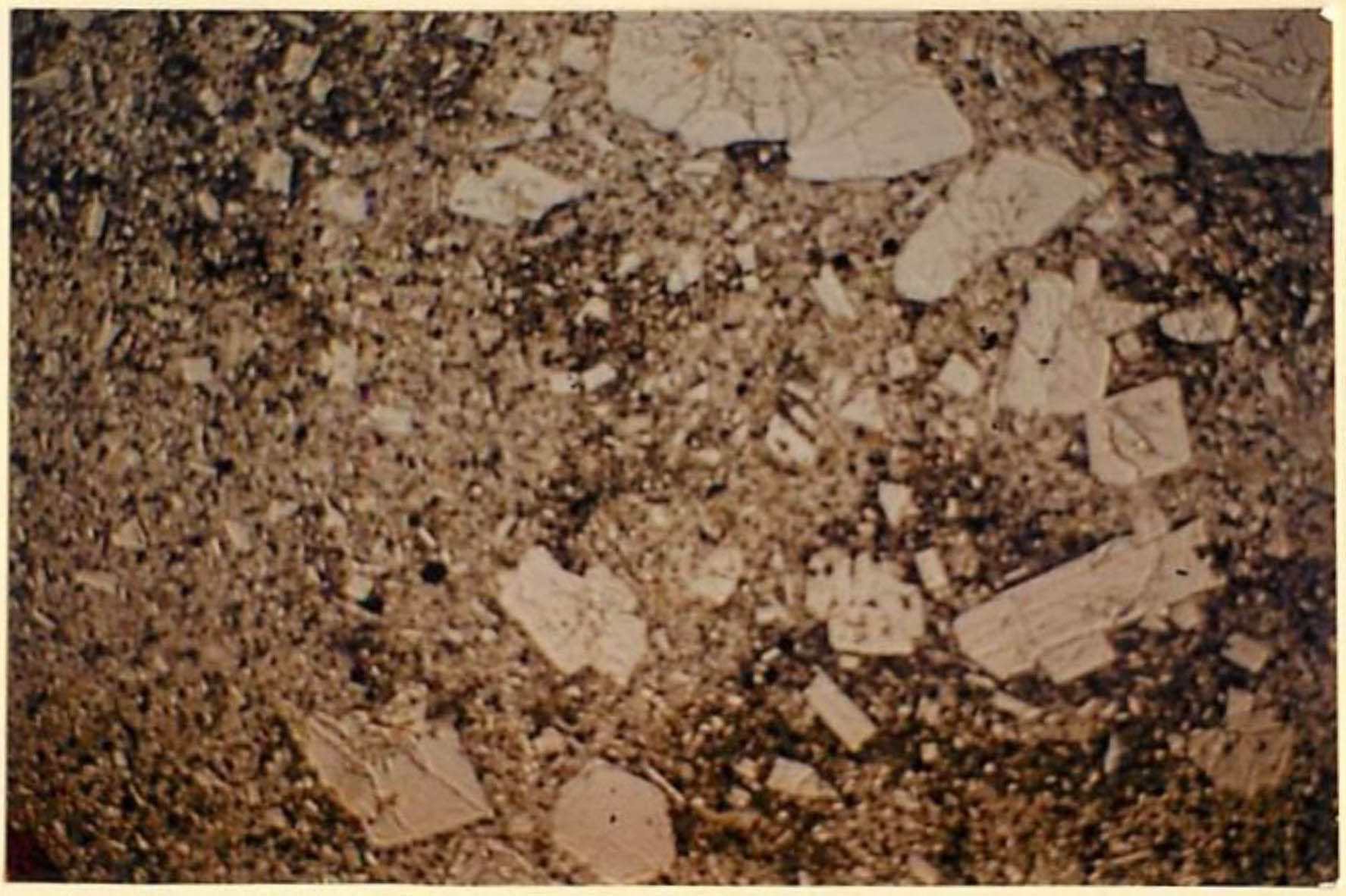 thin section image 2